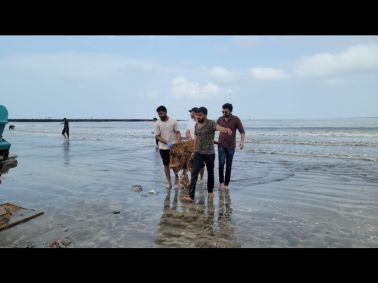 Cleanup at Juhu Beach by MET IOM