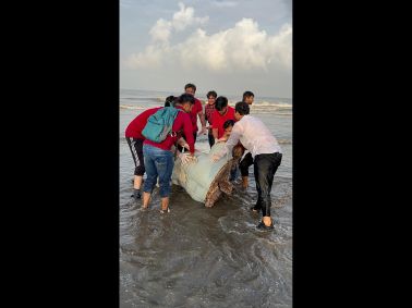 Post Ganapati Beach Clean up